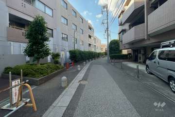 敷地の東側前面道路（南側から）