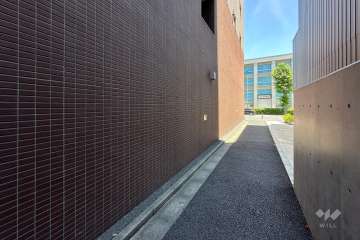 敷地南側の前面道路　