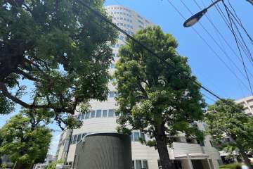 東高西ヶ原ペアシティの外観（南東側から）