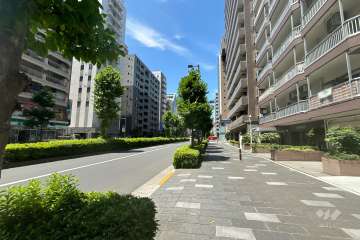 敷地西側の前面道路