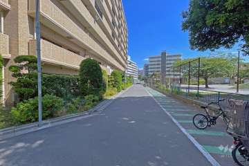 敷地の北側前面道路（東側から）