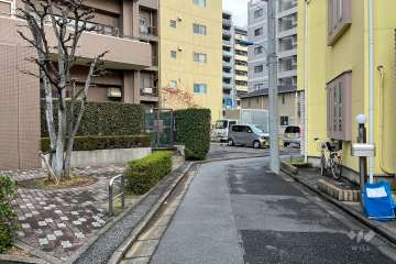 敷地南側の前面道路（西側から）