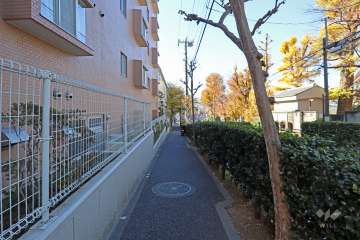 敷地北西側の前面道路（北東側から）