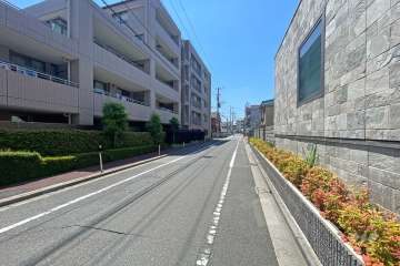 敷地西側の前面道路（北側から）