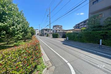 敷地西側の前面道路（南側から）