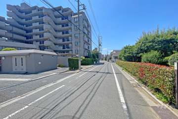敷地西側の前面道路（北側から）