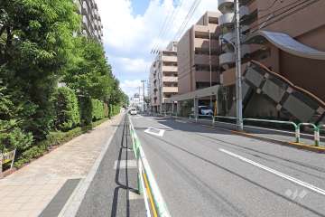 敷地南側の前面道路（西側から）