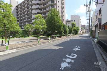 敷地西側の前面道路（北側から）