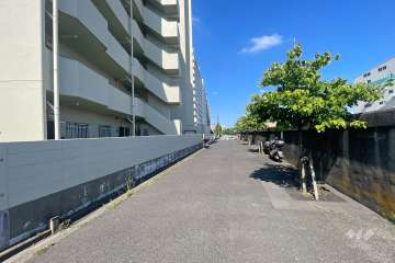 敷地北側の前面道路　