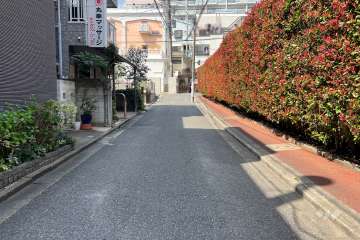 敷地南西側の前面道路