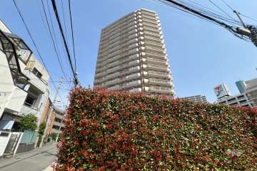 ライオンズタワー赤羽の外観（西側から）