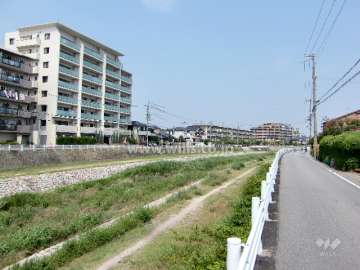 敷地の南側には仁川が流れています。