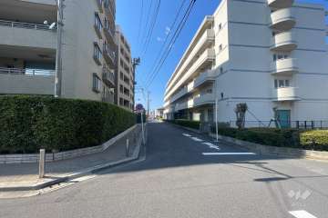 敷地の東側前面道路（南側から）