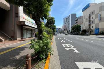 敷地の西側前面道路（北側から）