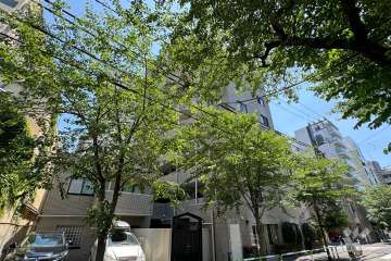 ニューキャピタル滝野川の外観（北側から）　