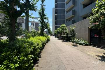 敷地の東側前面道路（北側から）