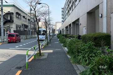 敷地の北西側前面道路（南西側から）