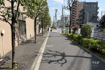 敷地南側の前面道路