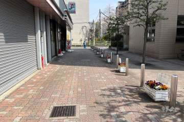 敷地北側の前面道路