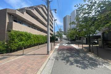 敷地の西側前面道路（北側から）