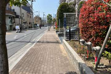 敷地南側の前面道路（東側から）