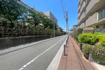 敷地西側の前面道路　