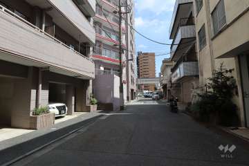 敷地南側の前面道路（西側から）