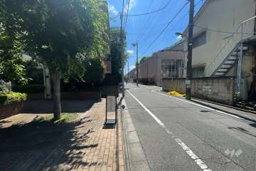 敷地南西側の前面道路（北西側から）