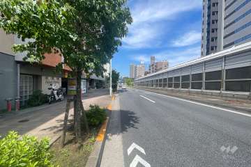 敷地の南側前面道路（西側から）