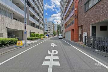 敷地の西側前面道路（北側から）
