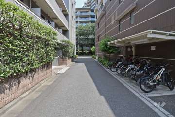 敷地北側の前面道路（西側から）