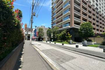 敷地の西側前面道路（南側から）