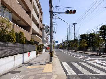 敷地南側の前面道路