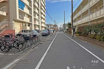 敷地の西側前面道路（北側から）