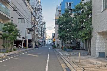敷地の西側前面道路（南側から）
