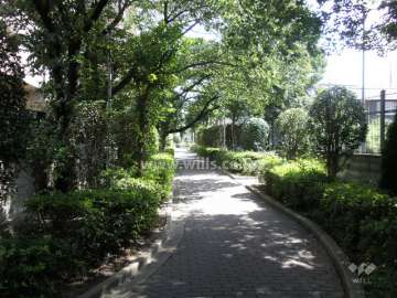 マンションの西側の小道（自転車・歩行者専用）