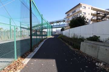 敷地の北側前面道路（西側から）