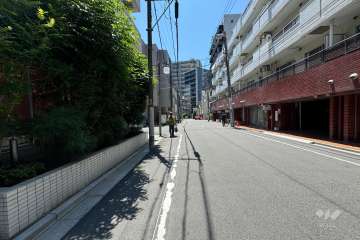 敷地の南東側前面道路（北東側から）