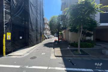 敷地の西側前面道路（北側から）