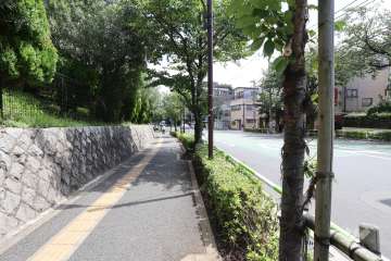 敷地南西側の前面道路