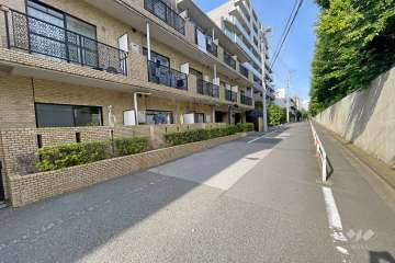 敷地南側の前面道路（西側から）