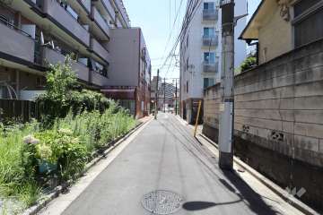 敷地の西側前面道路（北側から）