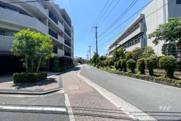 敷地の西側前面道路（北側から）