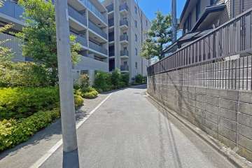 敷地の西側前面道路（南側から）