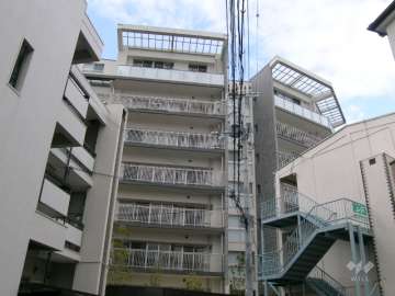 外観（南側から）