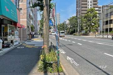 敷地南東側の前面道路（南西側から）