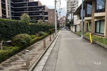 敷地西側の前面道路（北側から）