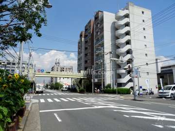 敷地北側の前面道路