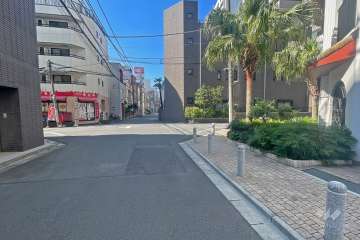 敷地東側の前面道路（北側から）