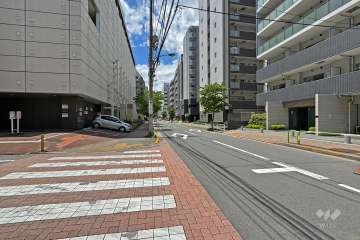 敷地の南側前面道路（東側から）